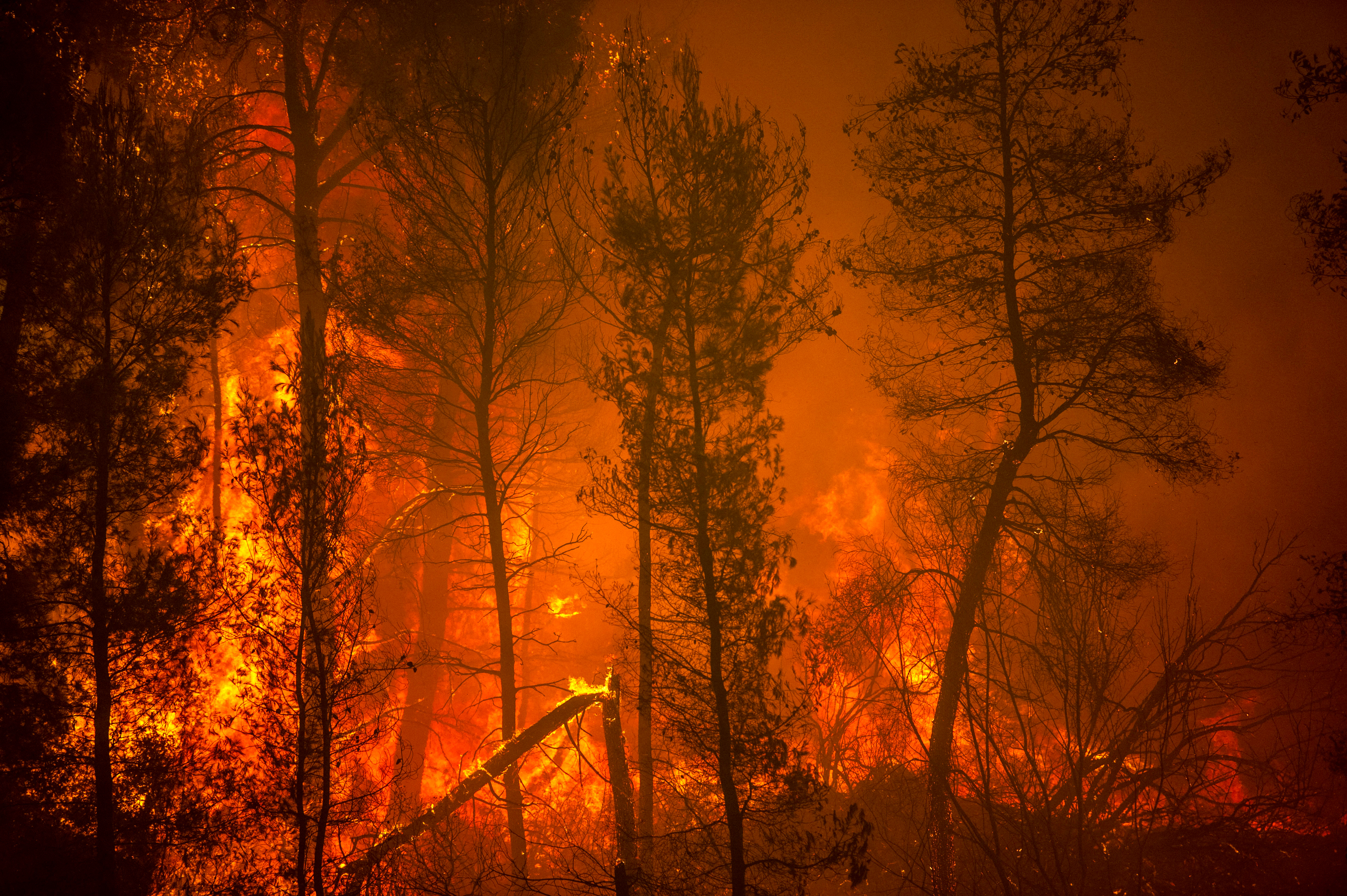 "Like A Horror Movie": Blaze Ravages Greek Island On 6th Day Of Wildfires "Like A Horror Movie": Blaze Ravages Greek Island On 6th Day Of Wildfires
