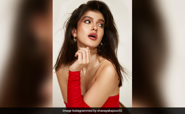 What's More Dramatic, Shanaya Kapoor's New Pic Or Its Caption? We Can't Decide