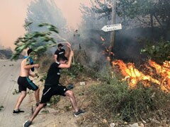 Algeria Wildfires Kill 42, Authorities Blame Arson