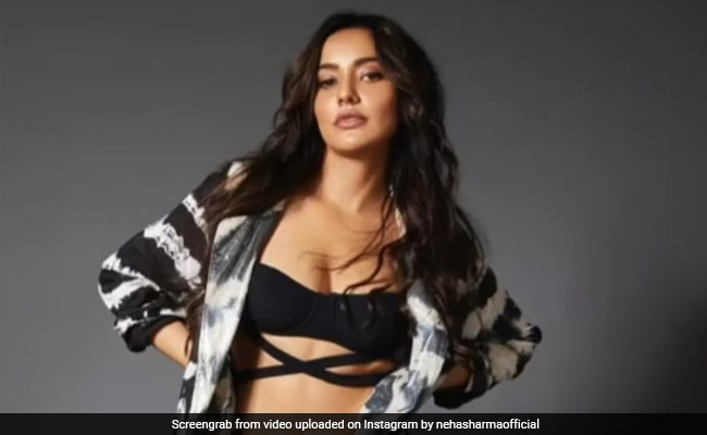 नेहा शर्मा ने शेयर किया फोटोशूट वीडियो, ग्लैमरस अंदाज में यूं पोज देती आईं नजर....देखें Video
