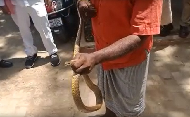 नोएडा: सावन में स्वंय 'दर्शन देने' थाने पहुंचे नाग देवता, मचा हड़कंप, सपेरा बुलवाकर जंगल में छोड़ा