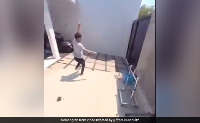 तोते ने लड़के से मोबाइल छीनकर बनाया अनोखा वीडियो, वायरल होने पर लोगों ने कहा- टैलेंटेड तोता है