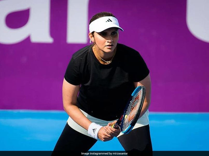 Sania Mirza, Christina McHale Lose Women's Doubles Final At Cleveland Championships