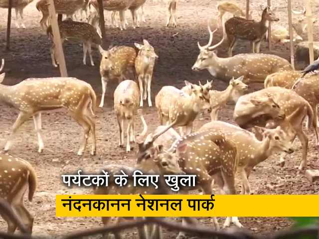 तीन महीने बाद पर्यटकों के लिए खुला नंदनकानन नेशनल पार्क, कोविड प्रोटोकॉल का करना होगा पालन