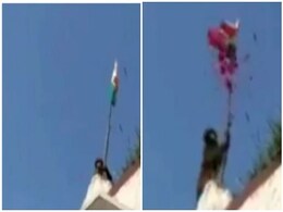 बंदर ने फहराया तिरंगा झंडा, लोगों ने कहा- ऐसा देशभक्त कभी नहीं देखा बंदर ने फहराया तिरंगा झंडा, लोगों ने कहा- ऐसा देशभक्त कभी नहीं देखा