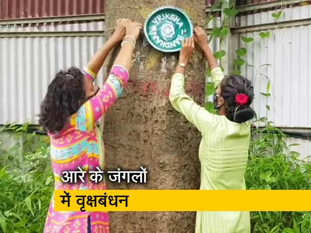 मुंबई: लोगों ने आरे के जंगलों में लगे पेड़ों को बांधी राखी, रक्षा का लिया वचन