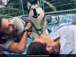 How Kriti Kharbanda And Pulkit Samrat Celebrated Pet Pooch Drogo's Birthday How Kriti Kharbanda And Pulkit Samrat Celebrated Pet Pooch Drogo's Birthday