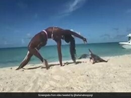 बिकिनी पहन Beach पर योगा कर रही थी महिला, तभी समंदर से निकला एक जानवर, पीछे से आकर किया Attack और फिर - देखें Video बिकिनी पहन Beach पर योगा कर रही थी महिला, तभी समंदर से निकला एक जानवर, पीछे से आकर किया Attack और फिर - देखें Video