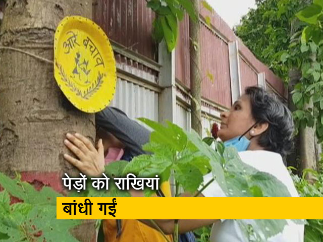 मुंबई के आरे के जंगल में 'वृक्षाबंधन' के जरिए नेताओं को उनके वादे याद दिलाए गए