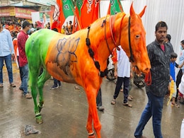 इंदौर: ज्योतिरादित्य सिंधिया की जन आशीर्वाद यात्रा में घोड़े को भाजपाई रंग में रंगा, पशु क्रूरता का मामला दर्ज इंदौर: ज्योतिरादित्य सिंधिया की जन आशीर्वाद यात्रा में घोड़े को भाजपाई रंग में रंगा, पशु क्रूरता का मामला दर्ज