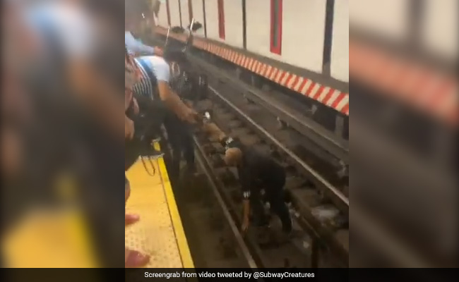 मेट्रो ट्रैक पर गिर गया व्हीलचेयर पर बैठा शख्स, उठने की कर रहा था कोशिश, तभी सामने से आ रही थी मेट्रो और फिर - देखें Shocking Video