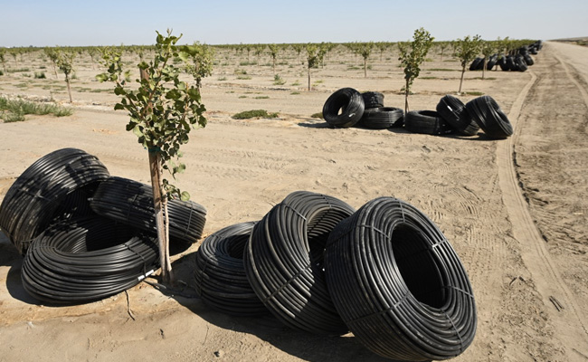 A Drought-hit US Town Finds Itself Sinking Into The Ground