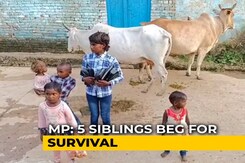 In Madhya Pradesh, 5 Siblings Orphaned By COVID-19 Beg For Survival In Madhya Pradesh, 5 Siblings Orphaned By COVID-19 Beg For Survival