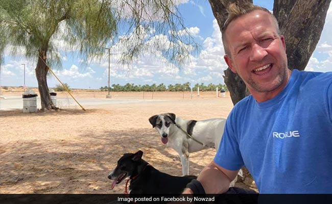 British Ex-Marine Escapes Kabul With 150 Cats And Dogs