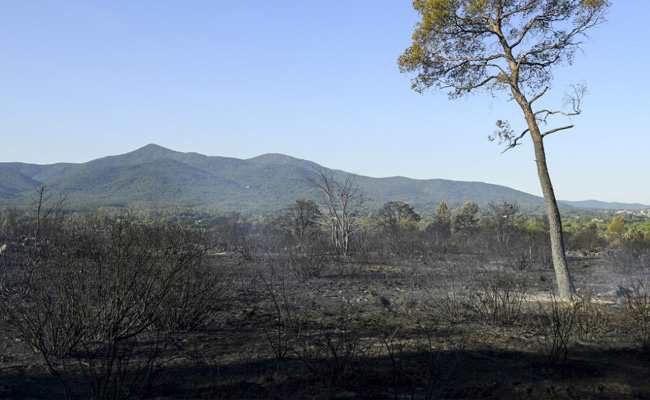 Thousands Evacuated In Southern France As 'Fierce' Wildfire Spread