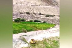 Watch: Artificial Lake Bursts Near Leh's Rumbak, Blocks Indus River Watch: Artificial Lake Bursts Near Leh's Rumbak, Blocks Indus River
