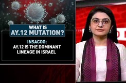 What Is AY.12 Mutation? What Is AY.12 Mutation?