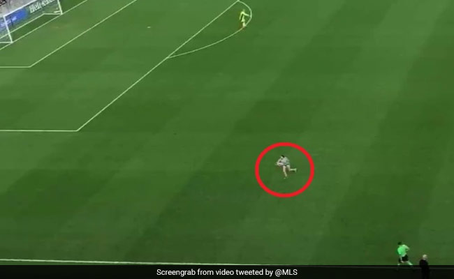 लाइव मैच के दौरान अचानक मैदान में घुस गया दो साल का बच्चा, पकड़ने के लिए दौड़ी मां फिसलकर गिरी और फिर - देखें Video