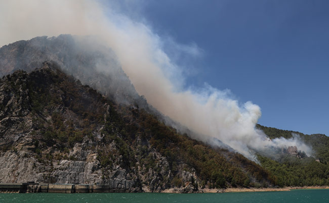 In Turkey Wildfire, Birth Of 'Miracle' Goat Defies Deadly Flames