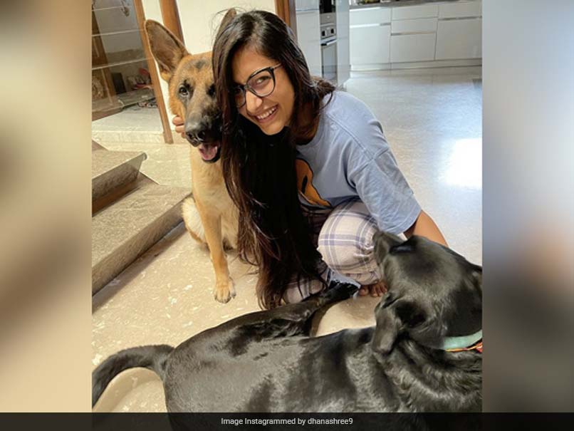 Dhanashree Vermas Raksha Bandhan Post Features Scotty And Groot. Yuzvendra Chahal Reacts