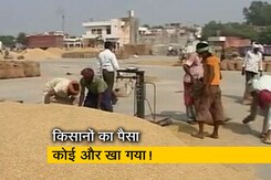 रवीश कुमार का प्राइम टाइम: रामपुर में न्यूनतम समर्थन मूल्य पर गेहूं खरीद में धांधली रवीश कुमार का प्राइम टाइम: रामपुर में न्यूनतम समर्थन मूल्य पर गेहूं खरीद में धांधली