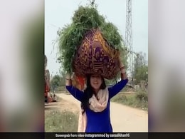 "<i>Namaste Darshako</i>": Guide Sara Ali Khan Is Back With A Tour Of India "<i>Namaste Darshako</i>": Guide Sara Ali Khan Is Back With A Tour Of India