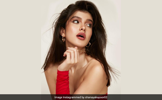 शनाया कपूर ने शेयर किया ग्लैमरस फोटोशूट, फैंस ने बताया 'परम सुंदरी'