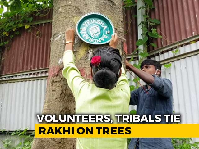 'Vriksha Bandhan' Marks Rakhi At Mumbai's Aarey Forest