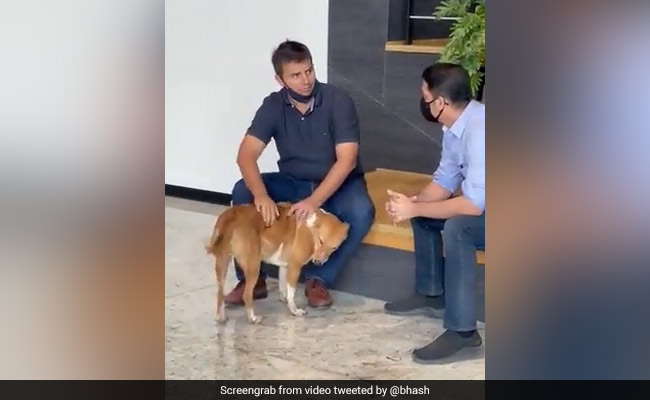 Ola CEO Bhavish Aggarwal Shows Us The "Best Way To Do Meetings"