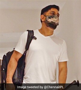 CSK Celebrate World Lion Day With MS Dhonis "Entry" In Team Camp