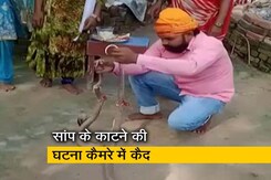 बिहार में एक 25 वर्षीय व्यक्ति ने सांपों के साथ राखी मनाई, सर्पदंश से मौत बिहार में एक 25 वर्षीय व्यक्ति ने सांपों के साथ राखी मनाई, सर्पदंश से मौत