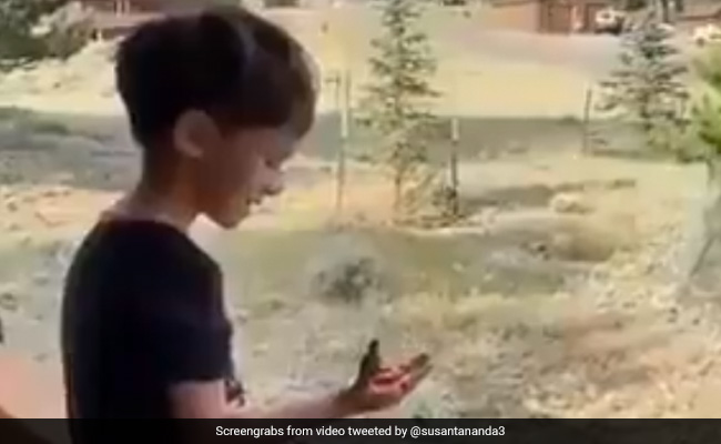 बच्चे के हाथ पर बैठकर खाना खा रही थी चिड़िया, लोग बोले- परिंदे को भी पता है किस पर करें भरोसा - देखें Video बच्चे के हाथ पर बैठकर खाना खा रही थी चिड़िया, लोग बोले- परिंदे को भी पता है किस पर करें भरोसा - देखें Video