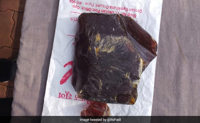 6 Arrested In Maharastra For Smuggling Whale Vomit