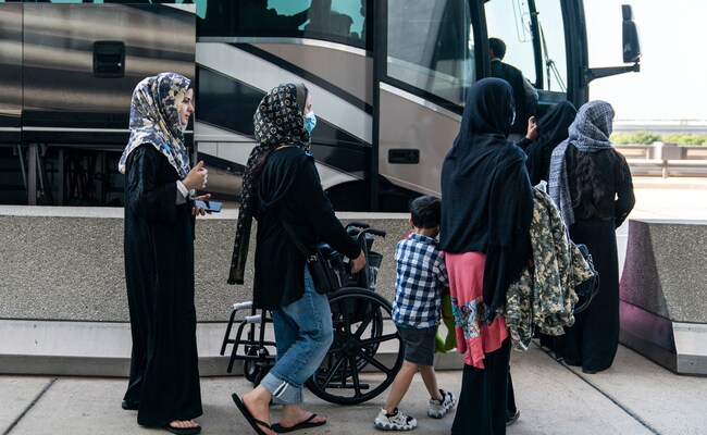 'Please Let Us On The Bus': Heartbreak On Kabul Airport Convoy 'Please Let Us On The Bus': Heartbreak On Kabul Airport Convoy