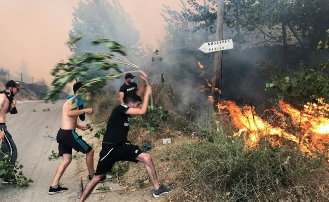 Algeria Wildfires Kill 42, Authorities Blame Arson