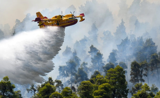 Firefighting Aircraft Crashed In Greece, No Casualties