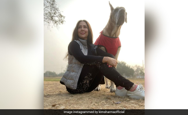 Can You Guess Who Clicked This Pic Of Kim Sharma?