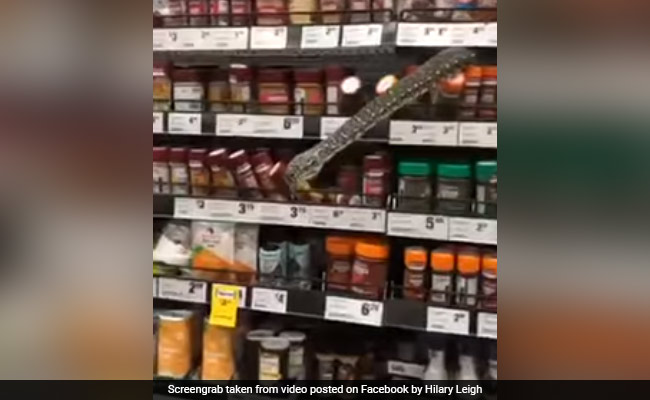 Python Peeps Out Of Spice Shelf At Sydney Supermarket, Shocks Customers
