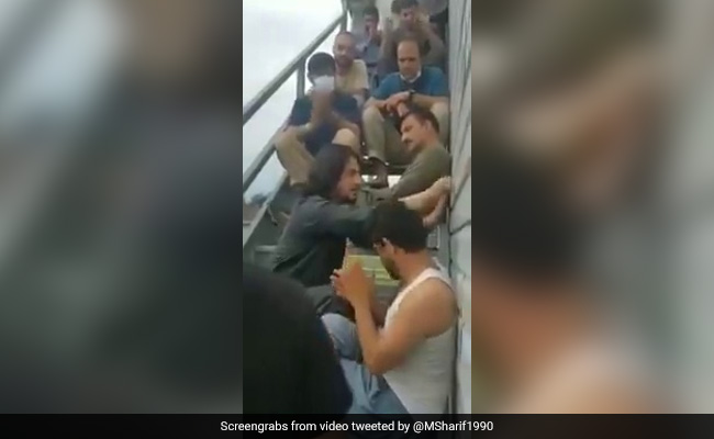 Afghan Singer Sharafat Parwani Sings About Homeland In Moving Video