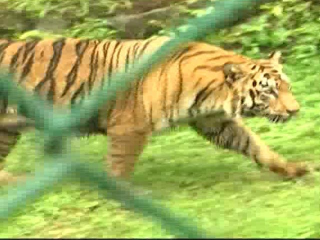 Animal Adoption At Sanjay Gandhi National Park A Hit With Mumbai Citizens