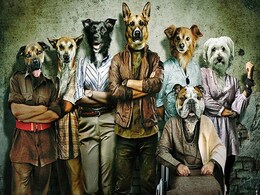 'ना ये भौंकते हैं, ना गुर्राते हैं…बस काटते हैं!', 'कुत्ते' का धांसू फर्स्ट लुक रिलीज 'ना ये भौंकते हैं, ना गुर्राते हैं…बस काटते हैं!', 'कुत्ते' का धांसू फर्स्ट लुक रिलीज