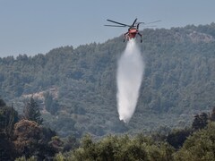 "60 Forest Fires In 24 Hours": Homes Destroyed, 8 Hospitalised In Greece