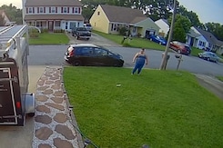 Fish Falls From Sky, Slams Into Car In Bizarre Video Fish Falls From Sky, Slams Into Car In Bizarre Video