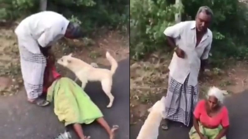 पैसे के लिए मां को घसीट कर मार रहा था बेटा तभी कुत्ते ने बचाया, लोगों ने कहा- असली बेटा तो यही है