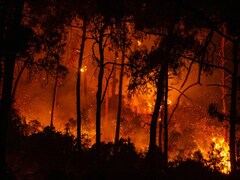 Turkey Wildfires Death Count Rises To 8, Coastal Resorts Affected