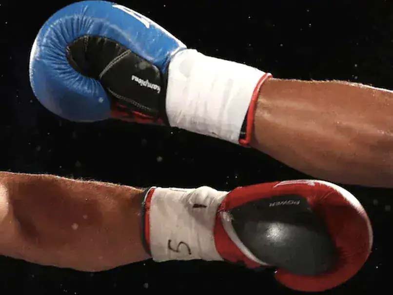 World Boxing Council Announces Formation Of India Committee