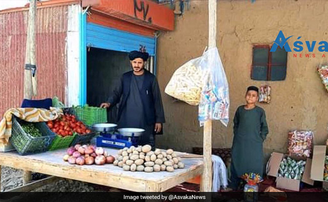 Taliban के कब्जे के बाद इस अफगानी सिंगर ने छोड़ी गायकी, सब्जी बेचने को हुए मजबूर