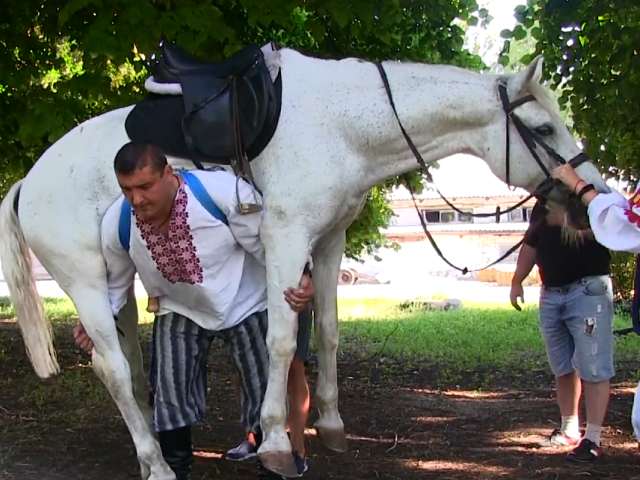 घोड़े को अपने कंधे पर बैठाकर चलता है ये शख्स
