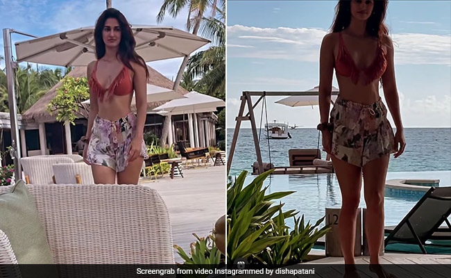 Disha Patani Misses Her Chic Days By The Beach In A Brown Fringe Bikini