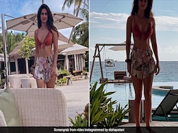 Disha Patani Misses Her Chic Days By The Beach In A Brown Fringe Bikini Disha Patani Misses Her Chic Days By The Beach In A Brown Fringe Bikini
